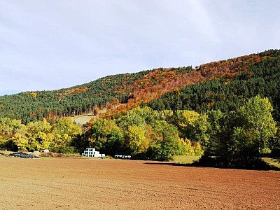 Automne_allenc (2)